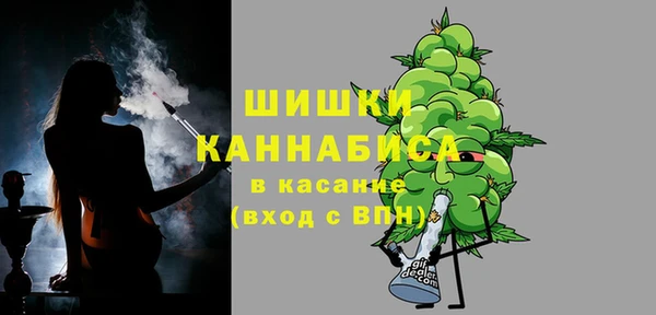 твердый Коряжма