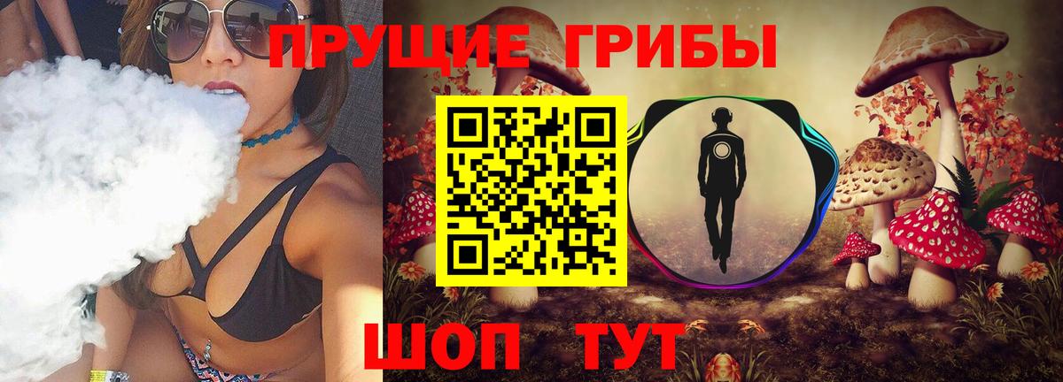 Галлюциногенные грибы GOLDEN TEACHER Лесной
