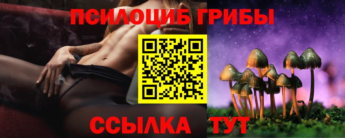 Псилоцибиновые грибы ЛСД  продажа наркотиков  Лесной  Вход с VPN 